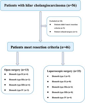 Safety and feasibility of laparoscopic radical resection for bismuth types III and IV hilar cholangiocarcinoma: a single-center experience from China